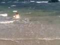 ron en la playuka