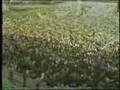 videos de masood rajavi amjadie 1359 (( gesmate 2