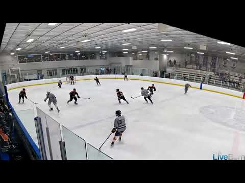 2024 Winter Cup Highlights Play Hockey Selects U16 AAA - Jersey #5