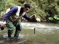 Grayling Champ Grayling Champ