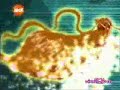 Enchantrix digimon!!!