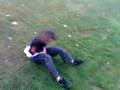 videos de fresh f