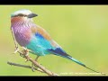 5 minute meditation 5 minute meditation