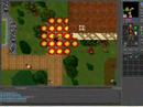 Tibia coss