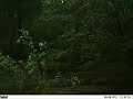 Time Lapse Photography of Tropical Storm Lee Flooding (near streamgage 1645704)
