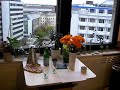 Walters Eck: Sexx, Lügen, Videos 6