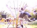 promocion 5a (paseo2008)