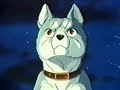 hopeanuoli  ginga