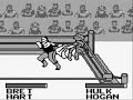 this is probably one of the more decent wwf games for gameboy