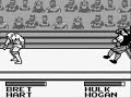 this is probably one of the more decent wwf games for gameboy