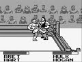 this is probably one of the more decent wwf games for gameboy