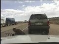 Speeding Ticket Taser