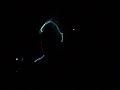 Laser Show at Jamshedpur - Laser