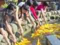 taiwan immersion