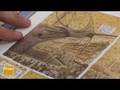 Vid�o de  Hippolyte
