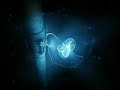 Nostradamus (ex Solaris Fusion) - Mystica