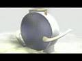 videos de Dobbsy TV Channel