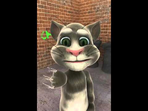 Tom Katt