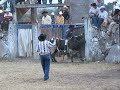 JARIPEO RANCHERO DF