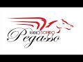 PEGA PEGA- ME DESPERTE LLORANDO