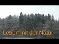 Wintersonnenwende Jahreskreisfest feiern