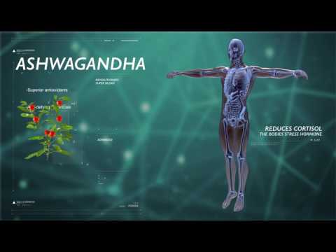 NuCerity Elite: Supports Antioxidants • Anti-Aging • Immune System