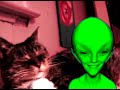 I'm Getting to Know EARTH CATS w/ SweetPea the Friendly Alien - UnificationNow