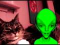 I'm Getting to Know EARTH CATS w/ SweetPea the Friendly Alien - UnificationNow
