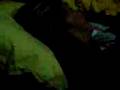 videos de Courtney is fuckin retarded :-)