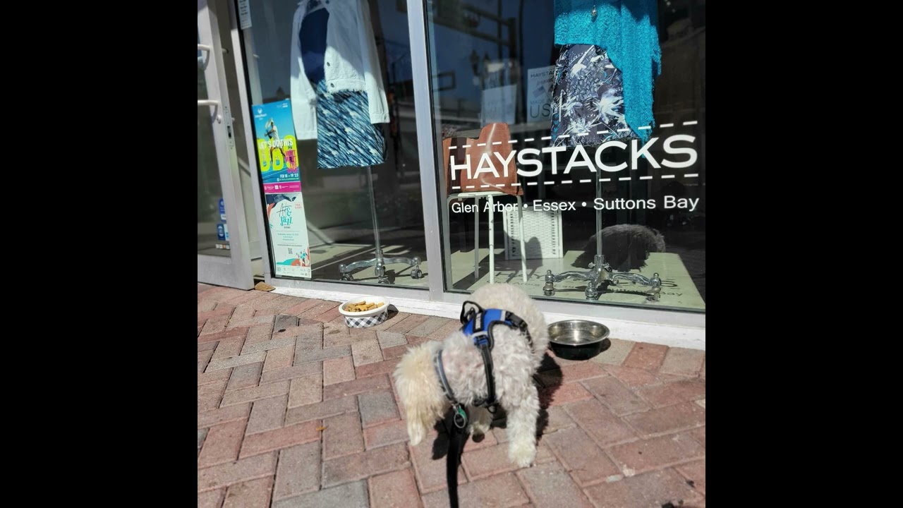 Delray Dog Walks at Haystacks Women's Apparel and Accessories