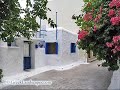 Aegina town
