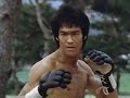 Bruce Lee O Mestre Das Artes Marciais