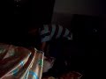 AUA!!!!!!!!!!!!!!!!!!!!!!!!!!!!!!!!!!!xD