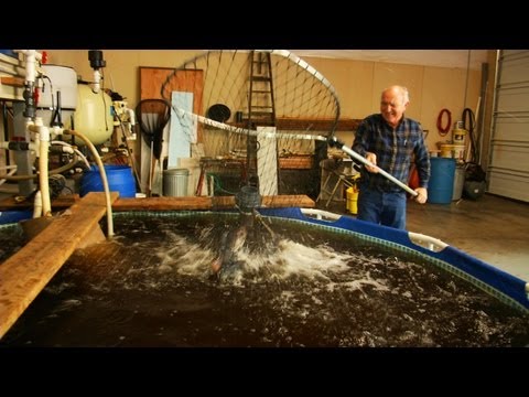 Next Level Sustainable Aquaponics System Design |