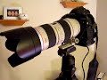 1D Mark II 8.5 fps 1D Mark II 8.5 fps