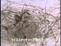 ����ߡʥ����ޥ���ߡ˵��� ������� �饤�����ʥå��㡼 head lice:YouTube������=5,726��