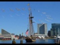 Pride of Baltimore II, Inner Harbor, Baltimore, MD, US - Picture