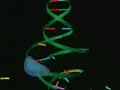 transcripcion del adn transcripcion del adn