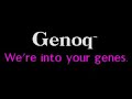 D/Generation (DOS) - Game Play