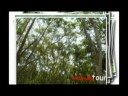 activefilm