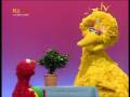 Sesamstrasse - Elmo spielt mit Pflanze