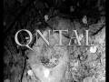 videos de Qntal - Palätinalied