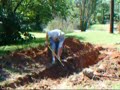 Diggin\