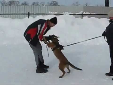 Янка. 5 месяцев.