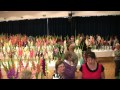 Nov! Medzinrodn vstava-Gadioly Byta 2012 Slovakia, Gladiolus Show, Vstava-Meky
