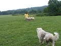 Paige Herding 1 Paige Herding 1