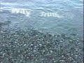 The name of the Lord The name of the Lord