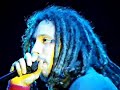 Rage Against The Machine - Bulls On Parade Rage Against The Machine - Bulls On Parade