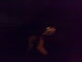Quoting - Gigi D'Agostino (Quotidianamente mix)