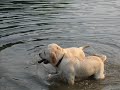 Tegan and Ben Swimming